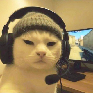 Telegram profile photo for Hope?