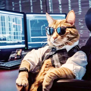 Telegram profile photo for madeyourtrade | Сделки на ММВБ и криптовалюте