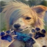 Telegram profile photo for Пиньята качер