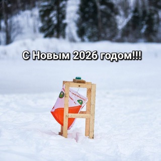 Telegram profile photo for Спортивное ориентирование в Смоленске