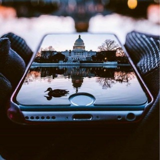 Telegram profile photo for Обои на телефон | iPhone | Android