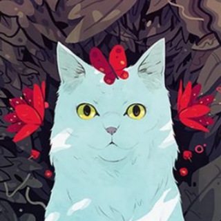 Telegram profile photo for TOP VISUAL