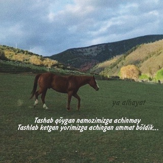 Telegram profile photo for Yᴀ_ᴀʟʜᴀʏᴀᴛ يا الحياتي