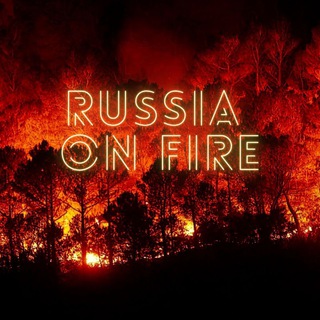 Telegram profile photo for будильник