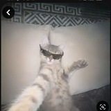 Telegram profile photo for Библиотека Жизни 🎀💍
