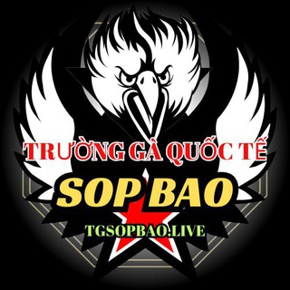 Telegram profile photo for Trường Gà Quốc Tế Sop Bao