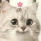 Telegram profile photo for купите пожалуйста🥹
