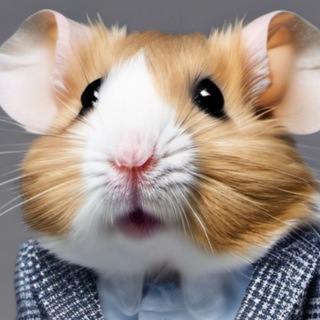 Telegram profile photo for Hamster πΉ Kombat | Code Word