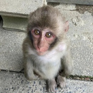 Telegram profile photo for ОТЗЫВЫ С РАЗДАЧ