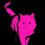 Telegram profile photo for абсурд (یه دلقک)