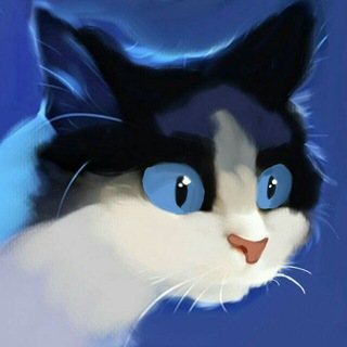 Telegram profile photo for HaveCats ♧