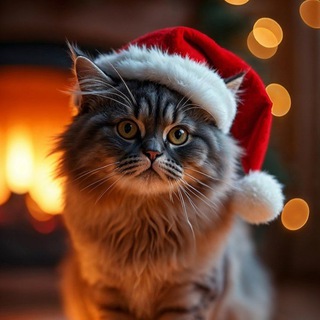 Telegram profile photo for КоТэ