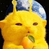 Telegram profile photo for ℜɛⅆ_ℱℓσѡɛɼ ℱℓσσⅆ_ℒⅈƒɛ~