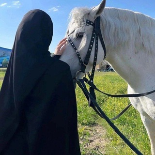 Telegram profile photo for أبَابيل ᥫ᭡