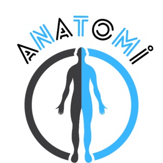 Telegram profile photo for DUSakademisi Anatomi
