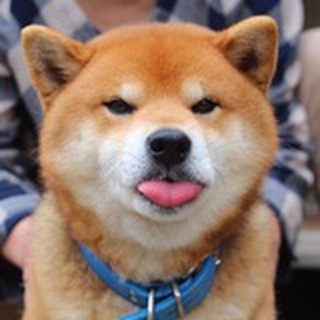 Telegram profile photo for 地球百科吃瓜