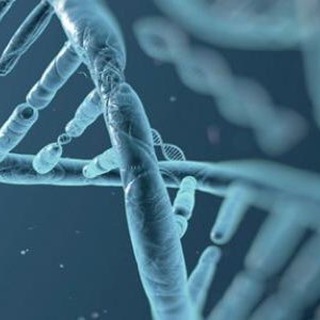 Telegram profile photo for biology 1 Dr/jassim