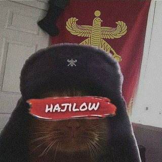 Telegram profile photo for حاجی لوو|Hajilow