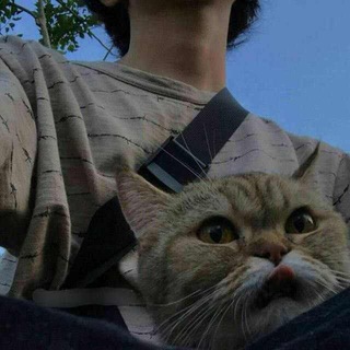 Telegram profile photo for Комилов❤️🔥