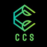 Telegram profile photo for Crypto Coach Sally 🚀