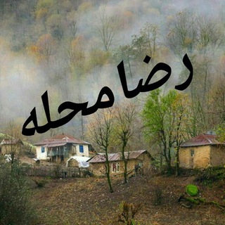Telegram profile photo for کانال رضامحله کلاچای