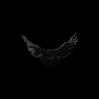 Telegram profile photo for JERËM¥ DÏAS