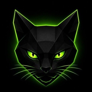 Telegram profile photo for $BLACKCAT PORTAL