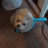 Telegram profile photo for Миша щп