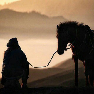Telegram profile photo for 💯🐎Лошади🐎💯