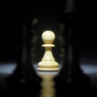 Telegram profile photo for Венский клуб