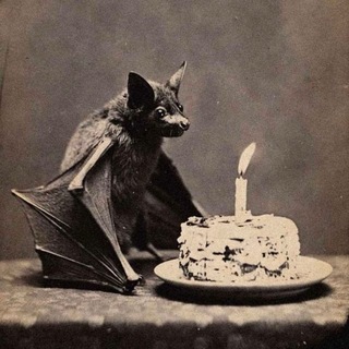 Telegram profile photo for Mémoires de vampires🦇