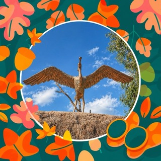 Telegram profile photo for ШАХОВСКАЯ СЕГОДНЯ