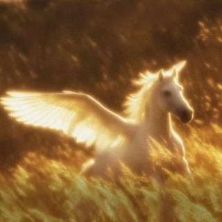 Telegram profile photo for " السَـدَّف "