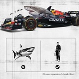 Telegram profile photo for Spa circuit flying shark🎒