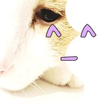Telegram profile photo for sad Zazka 106