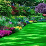Telegram profile photo for Green Garden Tips