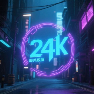 Telegram profile photo for 24k海外源头数据库