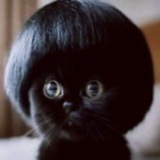 Telegram profile photo for Дурашка Кучеряшка