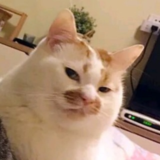 Telegram profile photo for Кладовая Бурундука