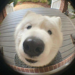Telegram profile photo for Life is pain!><
