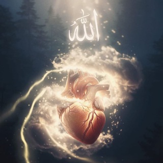 Telegram profile photo for أَلَا بِذِكْرِ اللَّهِ تَطْمَئِنُّ الْقُلُوبُ 🤍
