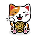 Telegram profile photo for Nekomoto portal ネコモト