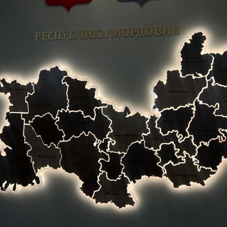 Telegram profile photo for Мордовия, вперёд!