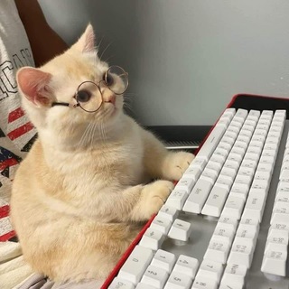 Telegram profile photo for Vsratii meme