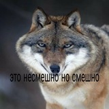 Telegram profile photo for Ауф и Вуф