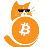 Telegram profile photo for Crypto Cat