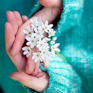 Telegram profile photo for پوشاک مریم
