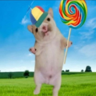 Telegram profile photo for АРХИВ||ну так себе иванчик