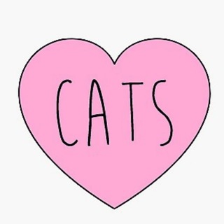 Telegram profile photo for КотоМанечка (Коты Котики Котята)