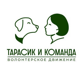 Telegram group profile photo for Болтушка канала "Тарасик и команда"
